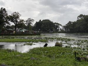 Selva Negra celebra sus 50 años y se prepara para el Oktoberfest este 5 de octubre.