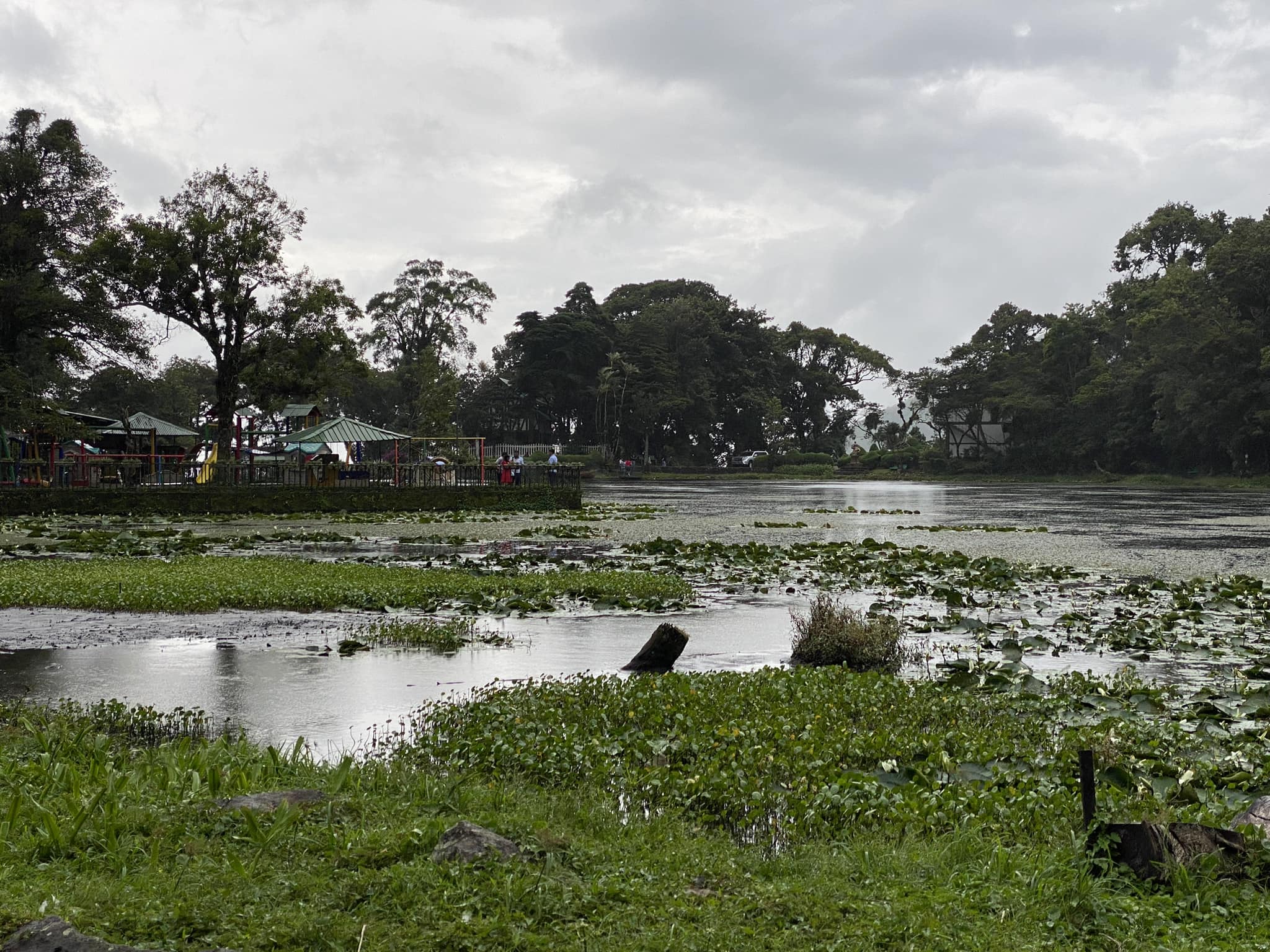 Selva Negra celebra sus 50 años y se prepara para el Oktoberfest este 5 de octubre.