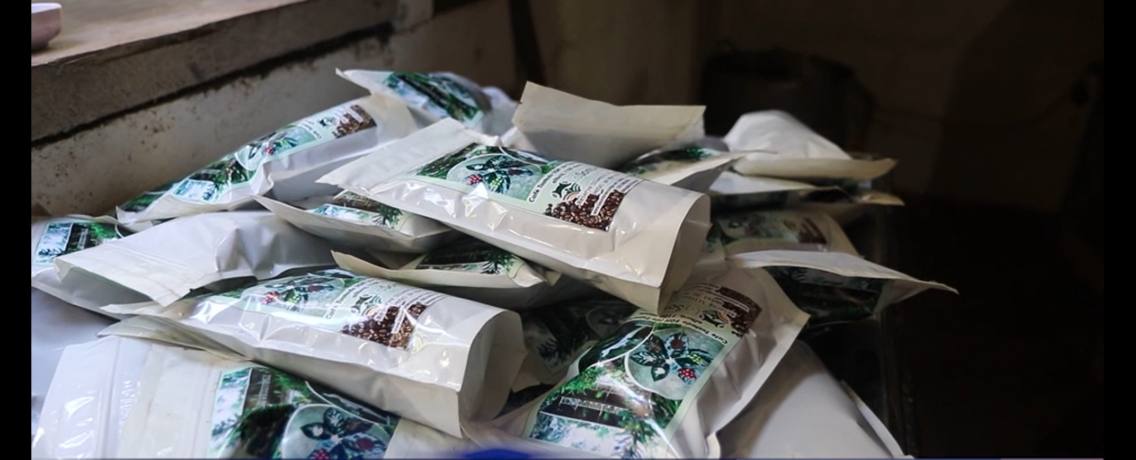 La Sombra Ecolodge cultiva café para el consumo de sus visitantes